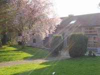 tuin