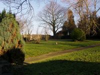 de tuin